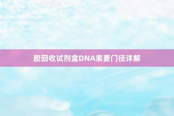 胶回收试剂盒DNA索要门径详解